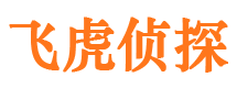 莲花市婚外情调查